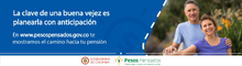 Banner Pesos Pensados 2