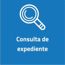 Menú consulta de expedientes