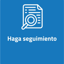 Menú haga seguimiento demanda