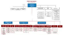 Organigrama SFC