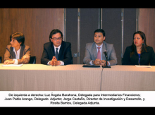 Convergencia a Normas Internacionales de Información Financiera y de Auditoría y Aseguramiento de la Información