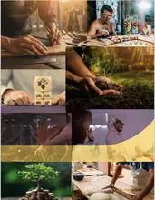 Informes especiales del Sistema Financiero