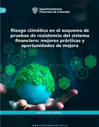 Riesgo climático en el esquema de pruebas de resistencia del sistema financiero: mejores prácticas y oportunidades de mejora
