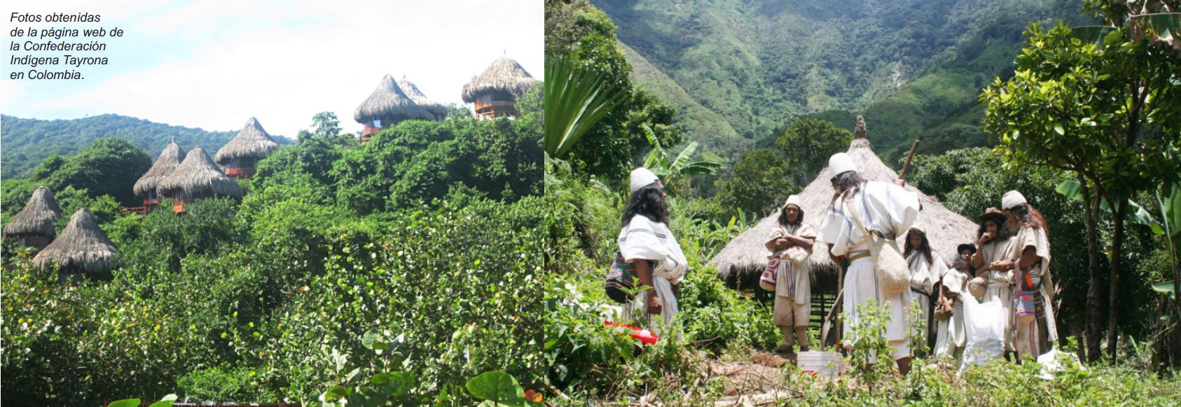 Confederación Indígena Tayrona