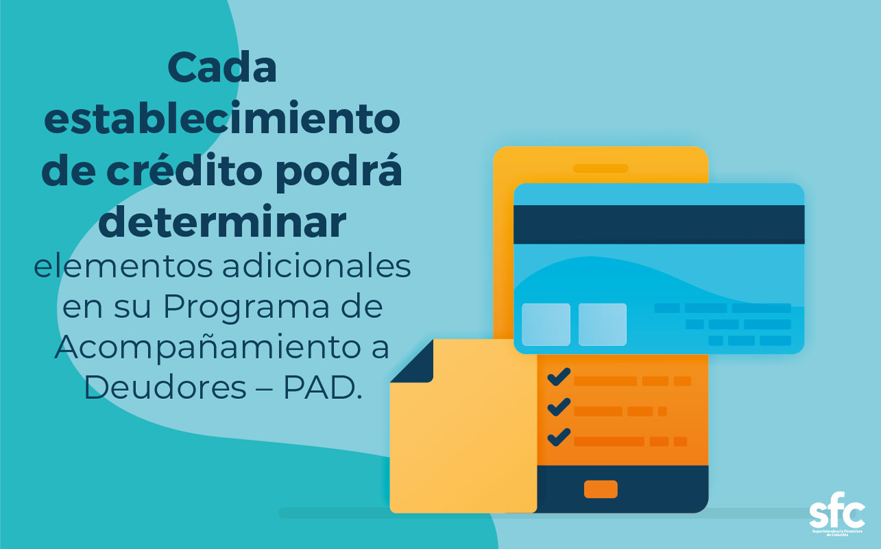 imgimg15 Programa de Acompañamiento a Deudores