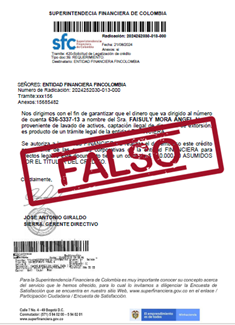 FINANZAS E INVERSIONES COLOMBIANAS S.A.S FINANZAS E INVERSIONES COLOMBIANAS S.A.S