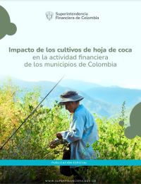 Imagen Impacto de los cultivos de hoja de coca en la actividad financiera de los municipios de Colombia Imagen Impacto de los cultivos de hoja de coca en la actividad financiera de los municipios de Colombia